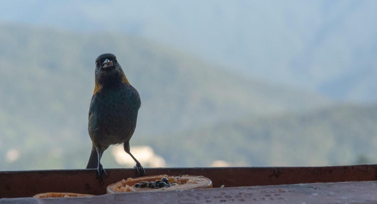Oré Suítes e Chalés Ubatuba Kültér fotó