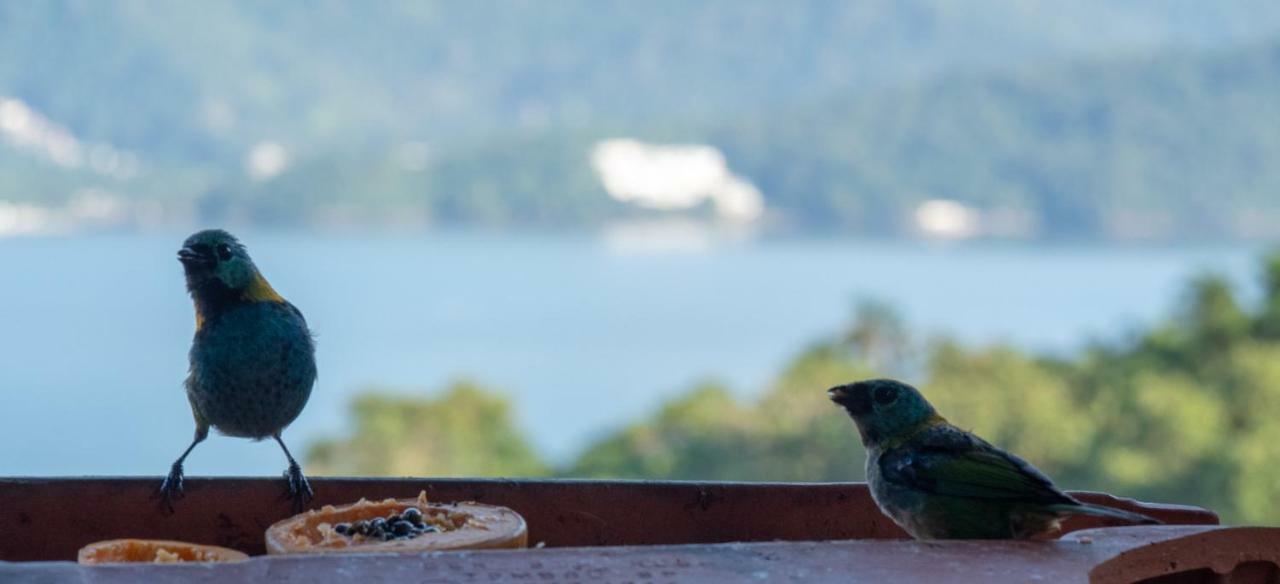 Oré Suítes e Chalés Ubatuba Kültér fotó